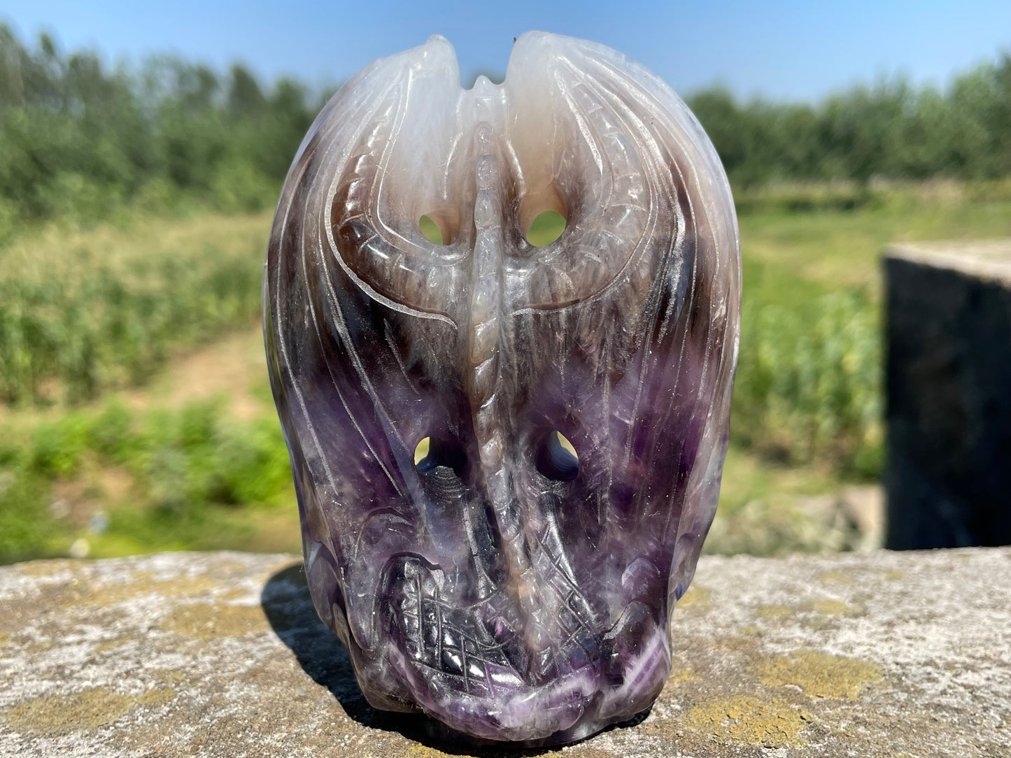 4''+ Natural Dream amethyst quartz,quartz crystal,hand carved,Crystal Fly Dragon,Fly Dragon skull,Crystal Gifts