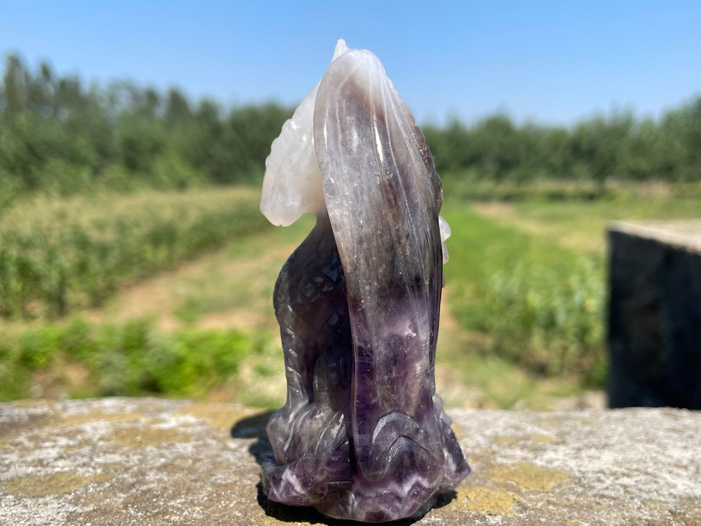 4''+ Natural Dream amethyst quartz,quartz crystal,hand carved,Crystal Fly Dragon,Fly Dragon skull,Crystal Gifts