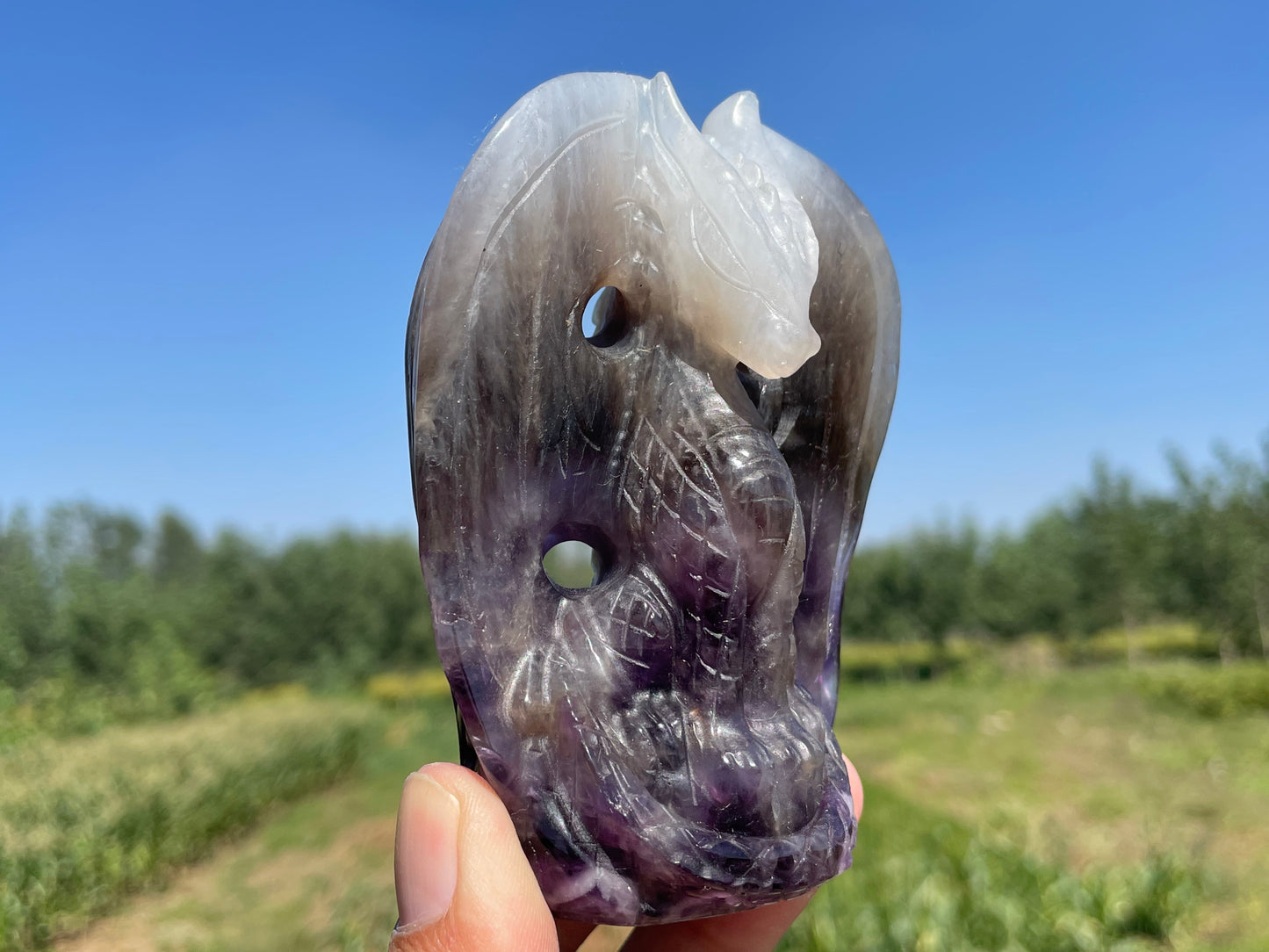 4''+ Natural Dream amethyst quartz,quartz crystal,hand carved,Crystal Fly Dragon,Fly Dragon skull,Crystal Gifts