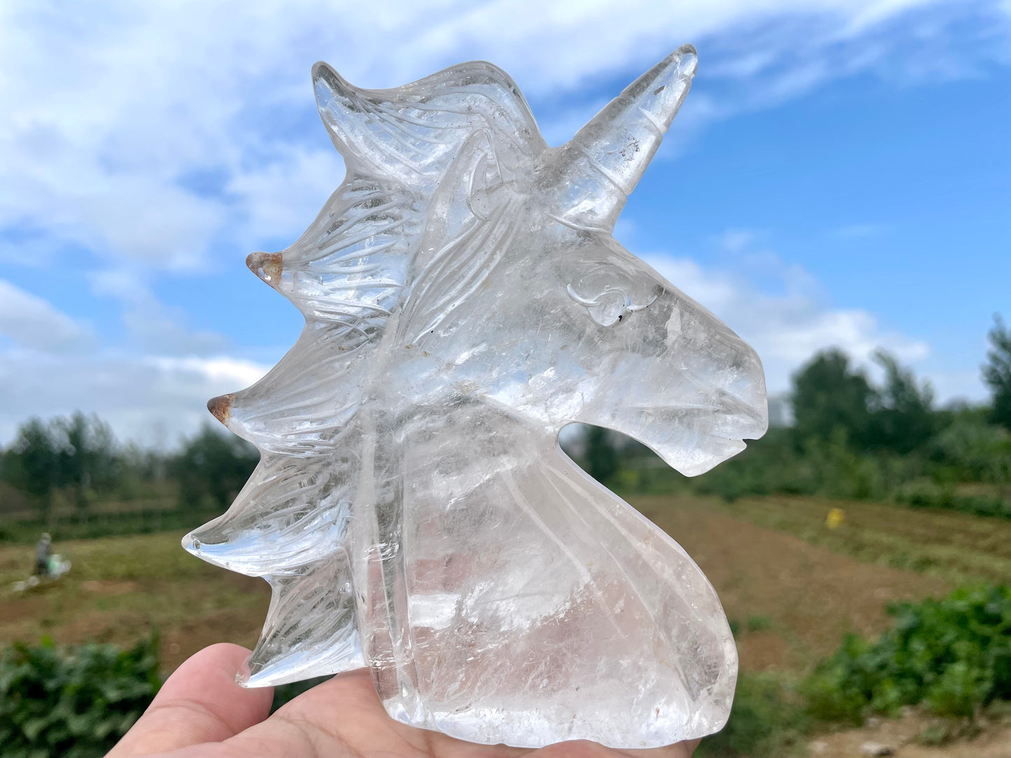 5'' Natural Clear quartz,quartz crystal,hand carved,Crystal Unicorn,Unicorn skull Specimen,Home Decoration Crystal Gifts