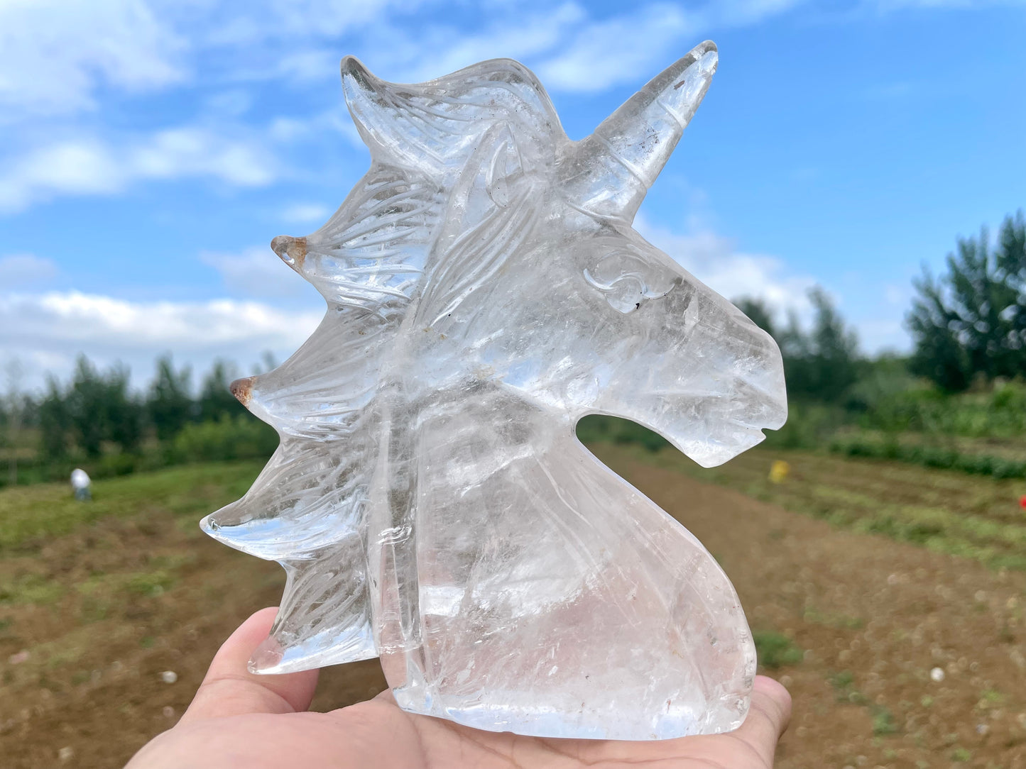 5'' Natural Clear quartz,quartz crystal,hand carved,Crystal Unicorn,Unicorn skull Specimen,Home Decoration Crystal Gifts