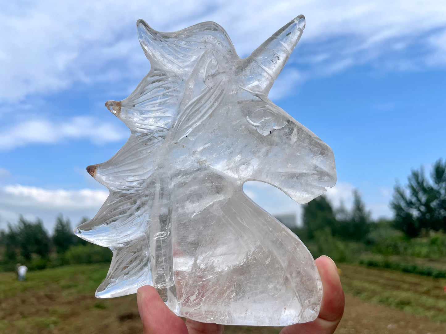 5'' Natural Clear quartz,quartz crystal,hand carved,Crystal Unicorn,Unicorn skull Specimen,Home Decoration Crystal Gifts