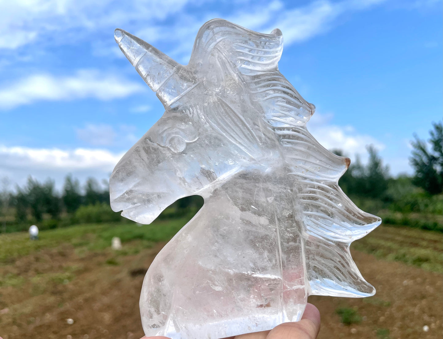 5'' Natural Clear quartz,quartz crystal,hand carved,Crystal Unicorn,Unicorn skull Specimen,Home Decoration Crystal Gifts