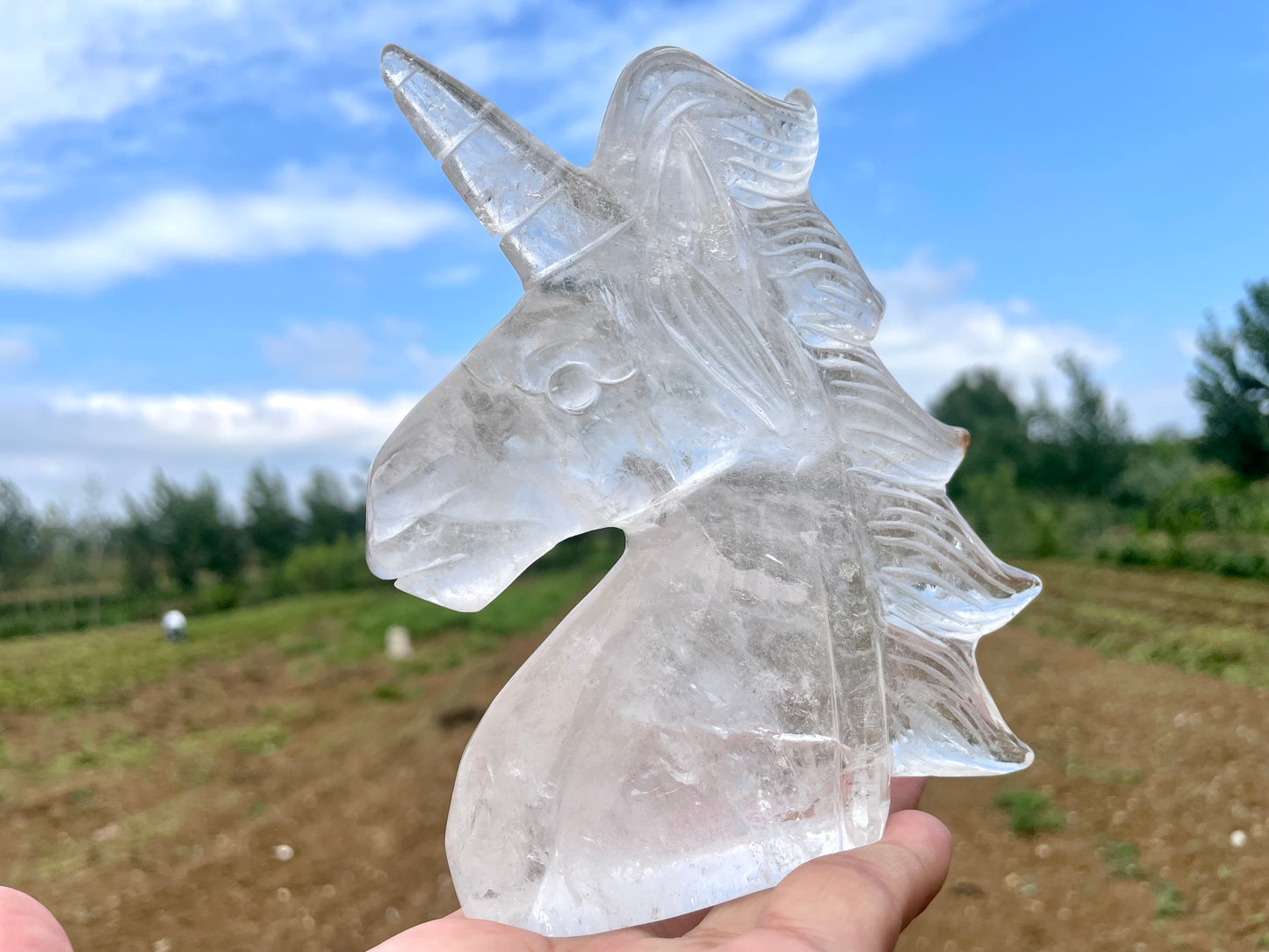 5'' Natural Clear quartz,quartz crystal,hand carved,Crystal Unicorn,Unicorn skull Specimen,Home Decoration Crystal Gifts