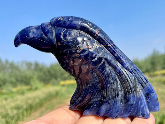 5.9''+Natural sodalite skull, Hand carved Eagle skull,Quartz Crystal eagle skull,Home Decoration,Crystal Gifts,Crystal healing