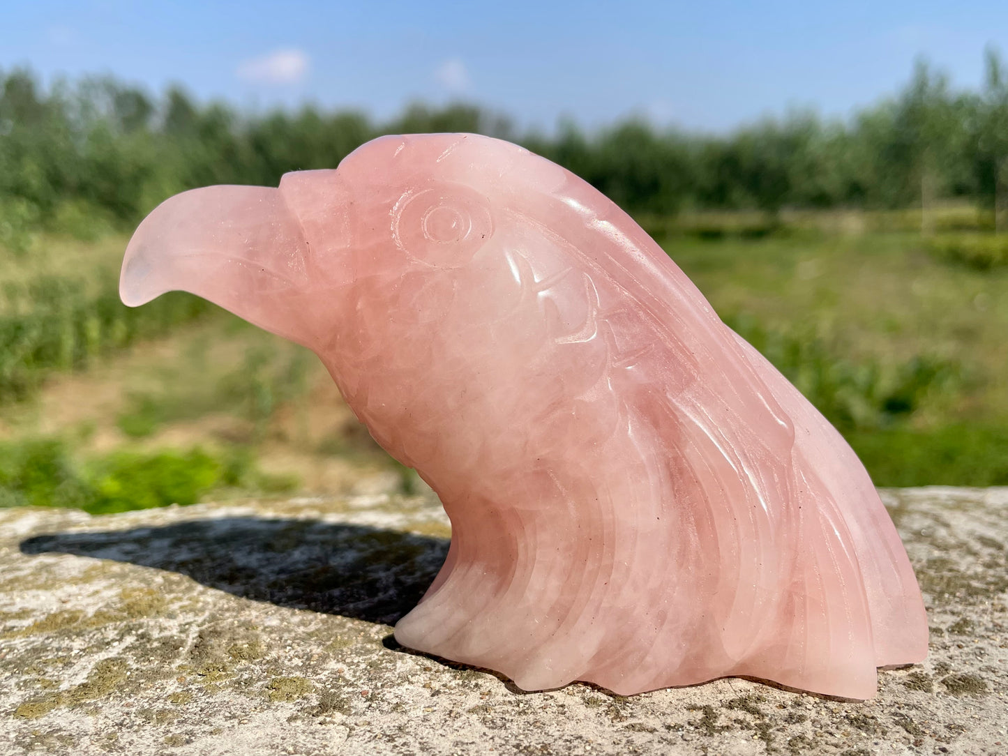 5.9''+Natural rose quartz skull, Hand carved Eagle skull,Quartz Crystal eagle skull,Home Decoration,Crystal Gifts,Crystal healing