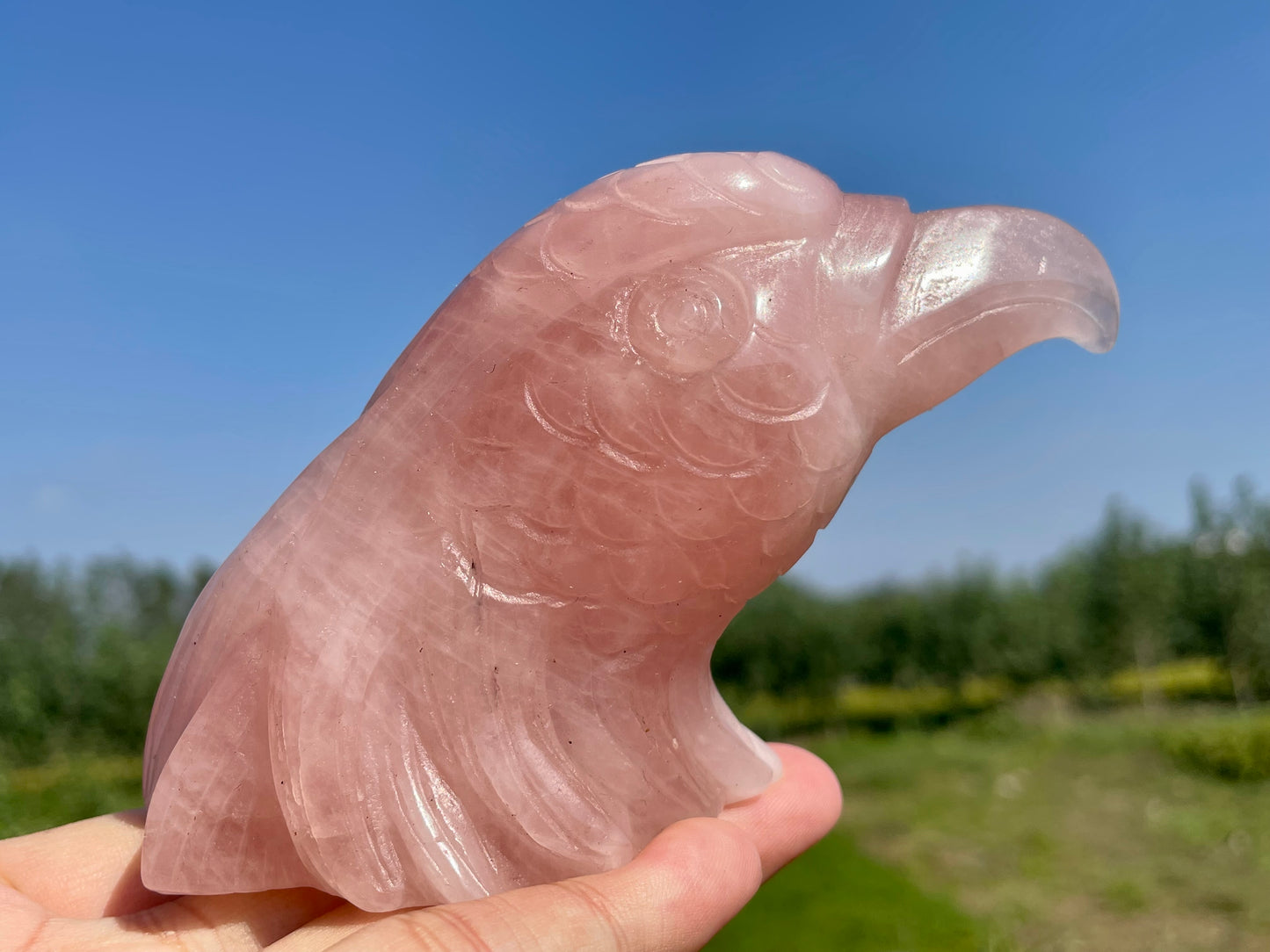 5.9''+Natural rose quartz skull, Hand carved Eagle skull,Quartz Crystal eagle skull,Home Decoration,Crystal Gifts,Crystal healing