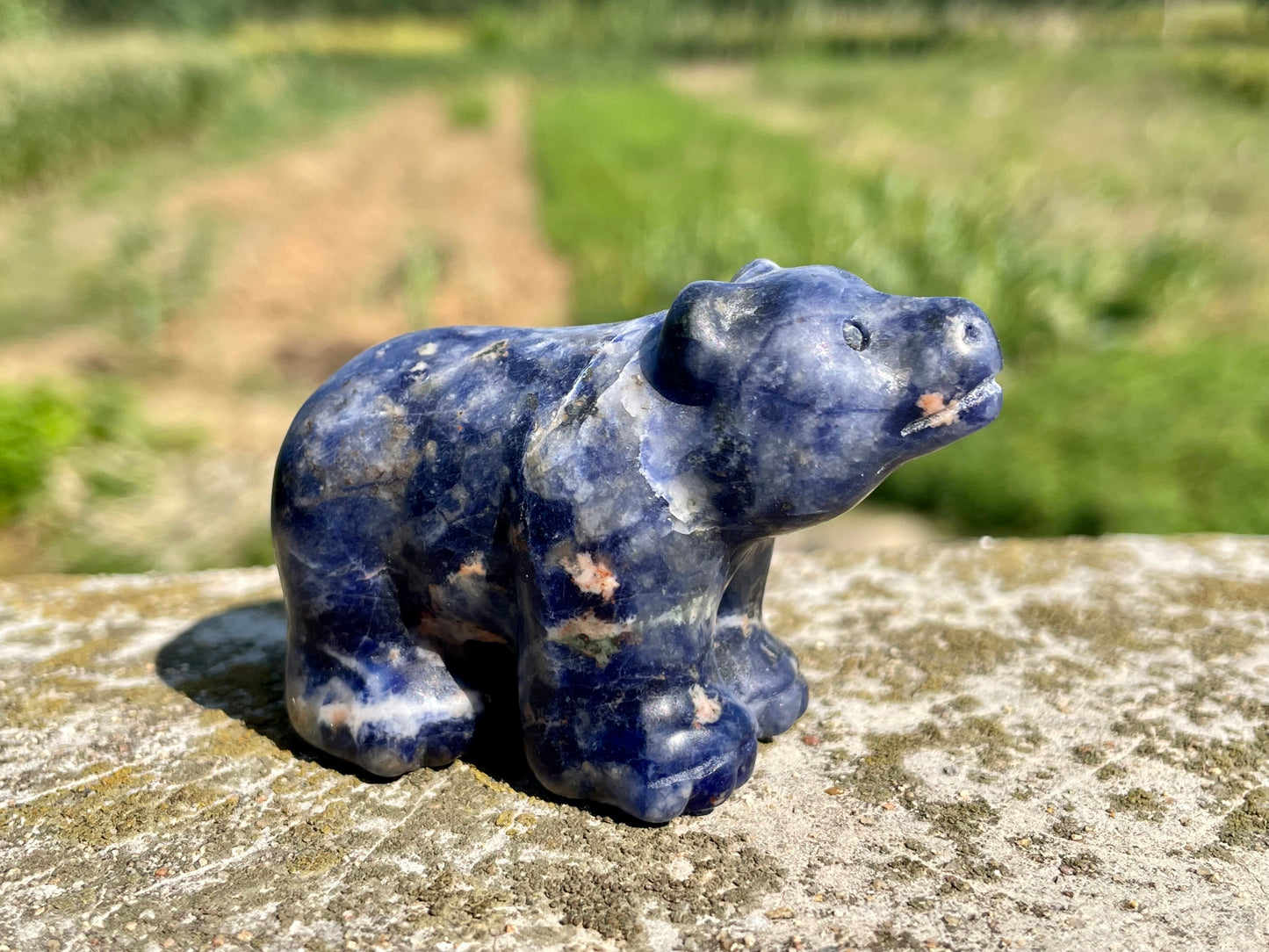 2.3''+ Natural Sodalite quartz,quartz crystal,hand carved,Crystal Polar Bear,Bear skull,Home Decoration Crystal Gifts