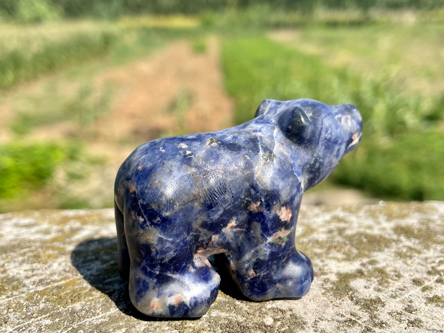 2.3''+ Natural Sodalite quartz,quartz crystal,hand carved,Crystal Polar Bear,Bear skull,Home Decoration Crystal Gifts