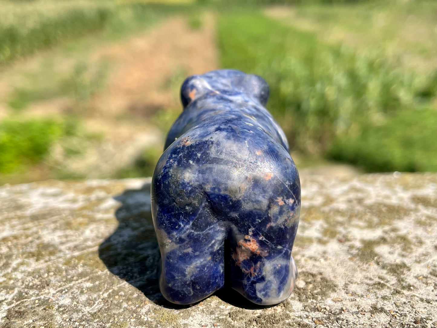 2.3''+ Natural Sodalite quartz,quartz crystal,hand carved,Crystal Polar Bear,Bear skull,Home Decoration Crystal Gifts