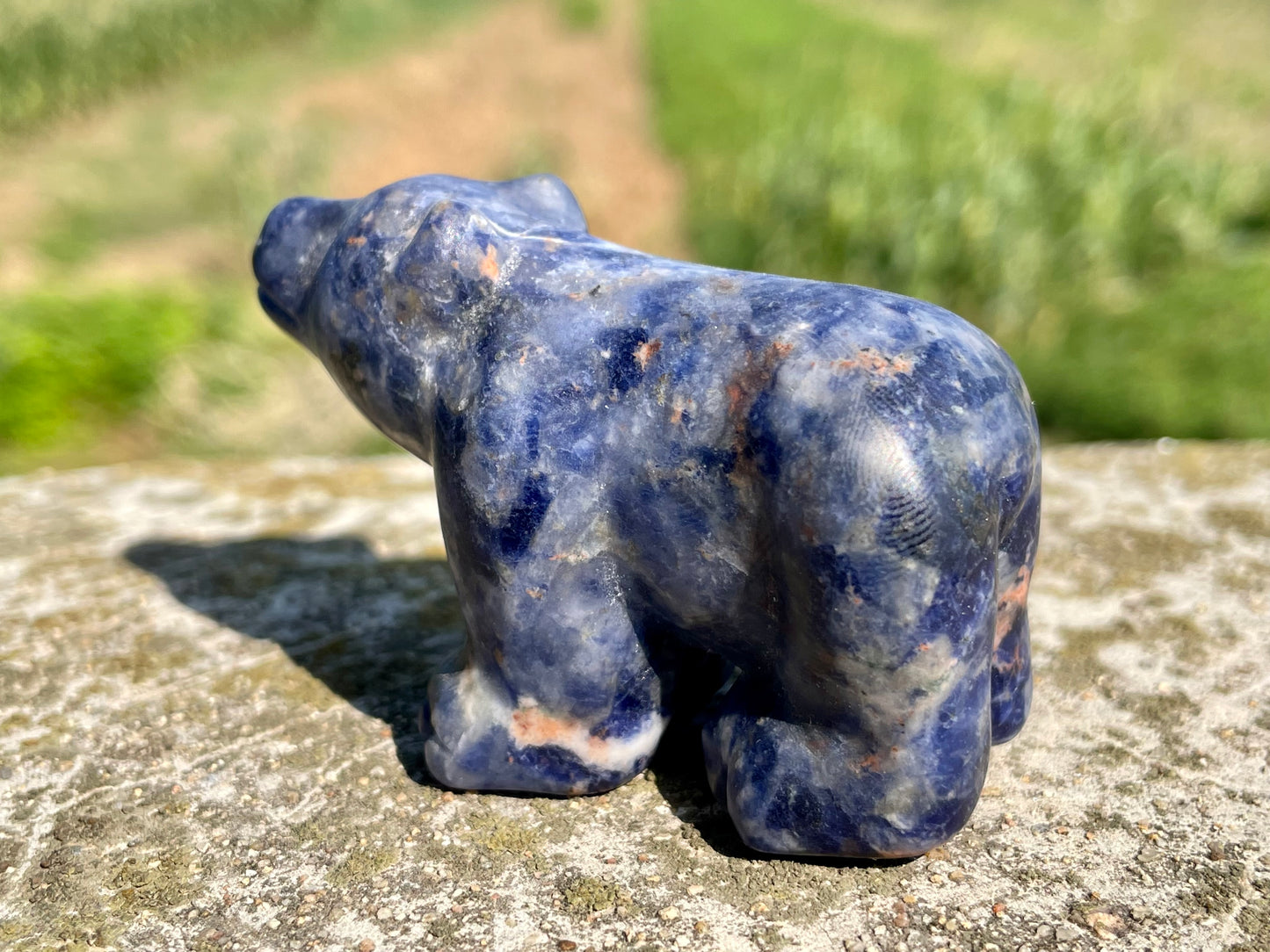 2.3''+ Natural Sodalite quartz,quartz crystal,hand carved,Crystal Polar Bear,Bear skull,Home Decoration Crystal Gifts