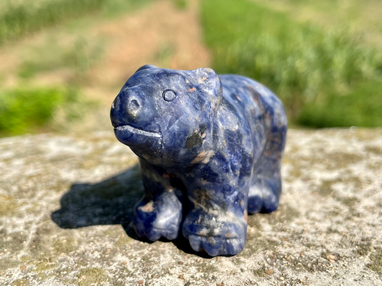 2.3''+ Natural Sodalite quartz,quartz crystal,hand carved,Crystal Polar Bear,Bear skull,Home Decoration Crystal Gifts