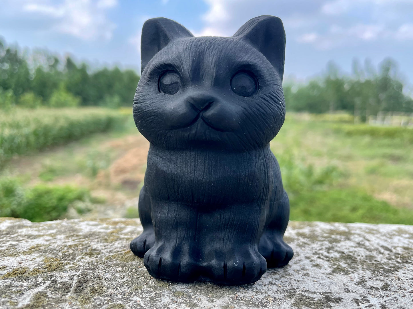 2.7''+Natural obsidian cat,Quartz Crystal cat skull,Hand carved cat,Home Decoration ,Crystal gifts,Crystal healing