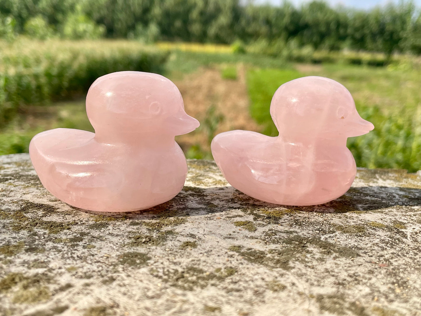 2.3''+ Natural Pink Rose quartz,quartz crystal,hand carved,Crystal Duck,Duck skull,Home Decoration Crystal Gifts,Crystal Healing