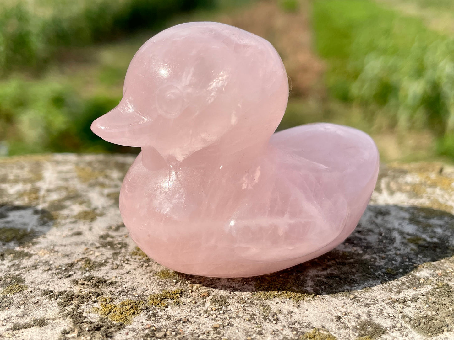 2.3''+ Natural Pink Rose quartz,quartz crystal,hand carved,Crystal Duck,Duck skull,Home Decoration Crystal Gifts,Crystal Healing