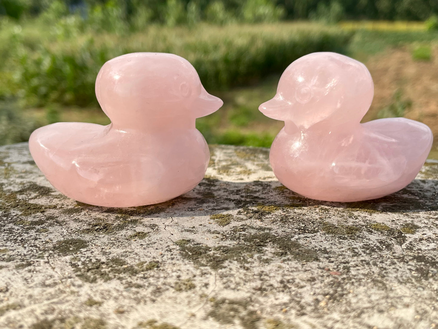 2.3''+ Natural Pink Rose quartz,quartz crystal,hand carved,Crystal Duck,Duck skull,Home Decoration Crystal Gifts,Crystal Healing