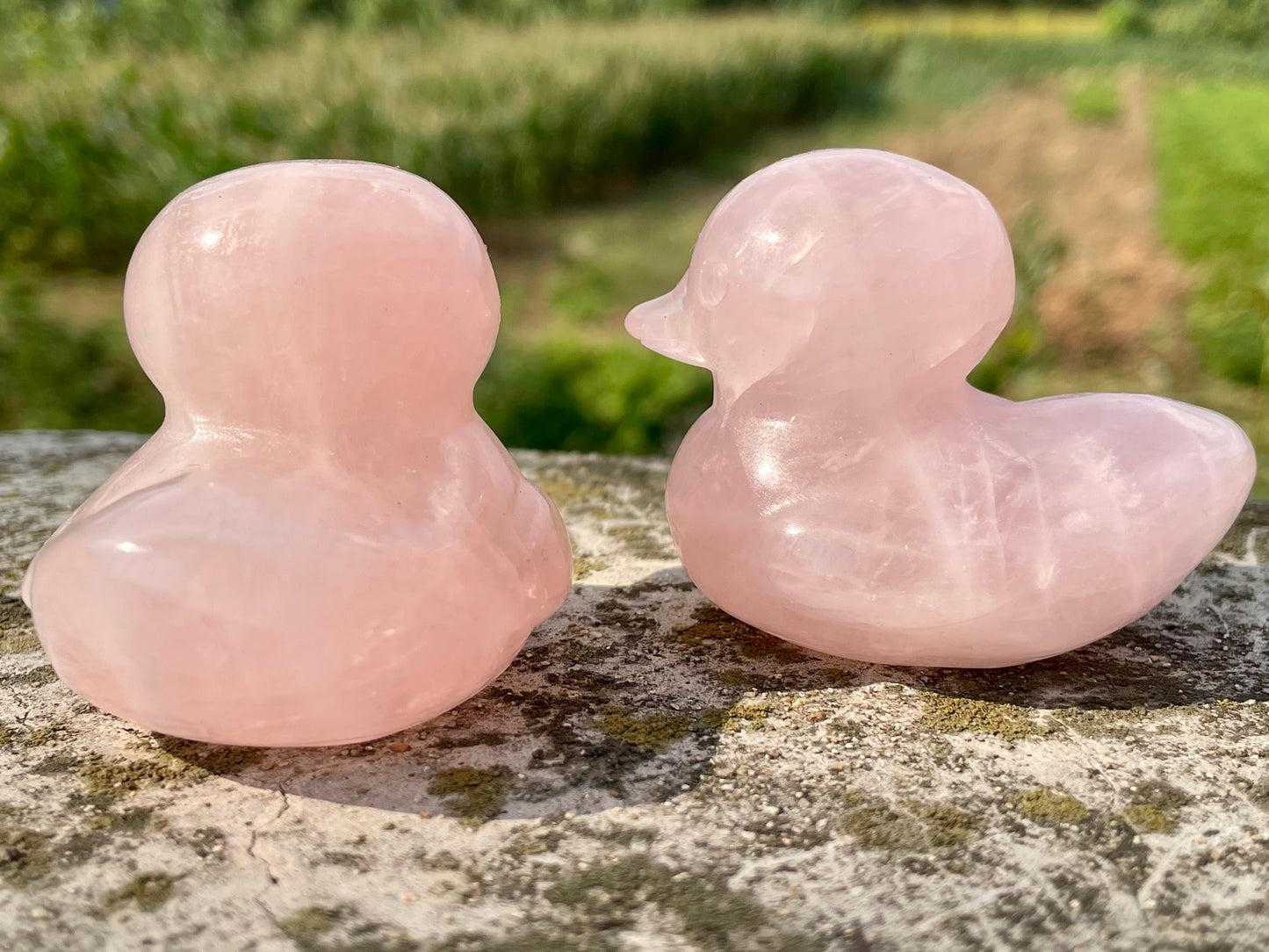 2.3''+ Natural Pink Rose quartz,quartz crystal,hand carved,Crystal Duck,Duck skull,Home Decoration Crystal Gifts,Crystal Healing