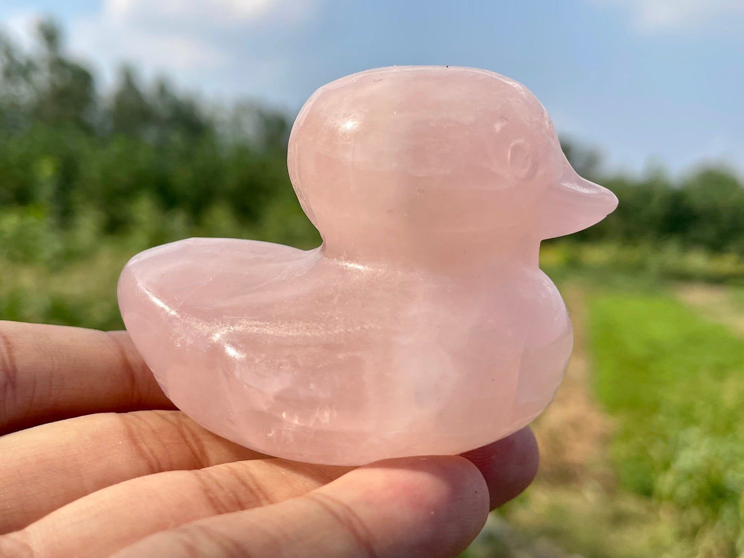 2.3''+ Natural Pink Rose quartz,quartz crystal,hand carved,Crystal Duck,Duck skull,Home Decoration Crystal Gifts,Crystal Healing