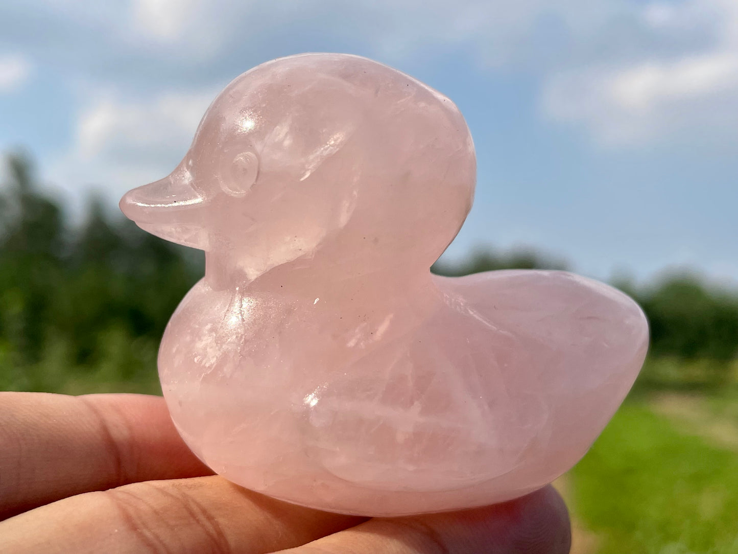 2.3''+ Natural Pink Rose quartz,quartz crystal,hand carved,Crystal Duck,Duck skull,Home Decoration Crystal Gifts,Crystal Healing