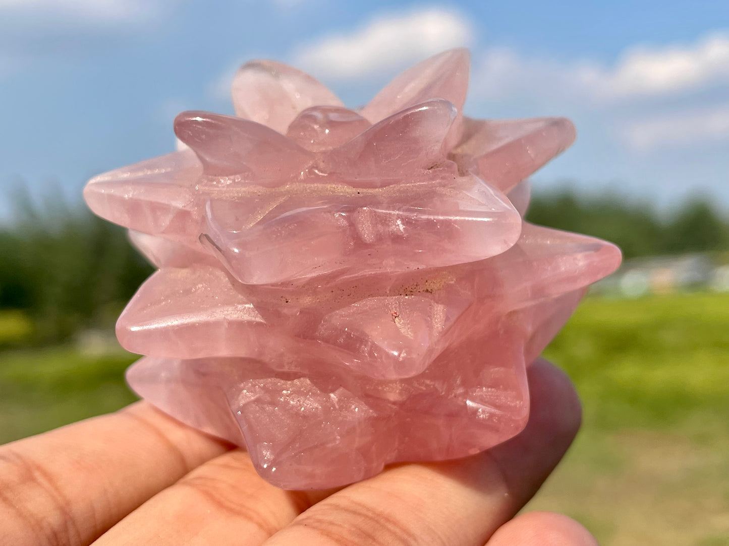 2" Natural Rose Quartz Succulents,Quartz crystal flower,Home Decoration,Crystal Carving,Mineral Specimens,Crystal Healing,Crystal Energy,Home Decoration