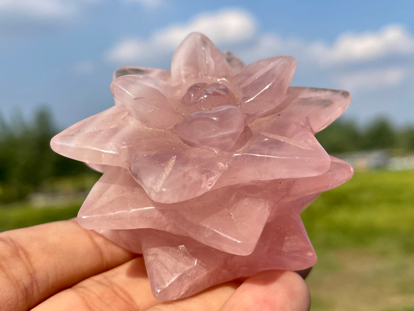 2" Natural Rose Quartz Succulents,Quartz crystal flower,Home Decoration,Crystal Carving,Mineral Specimens,Crystal Healing,Crystal Energy,Home Decoration