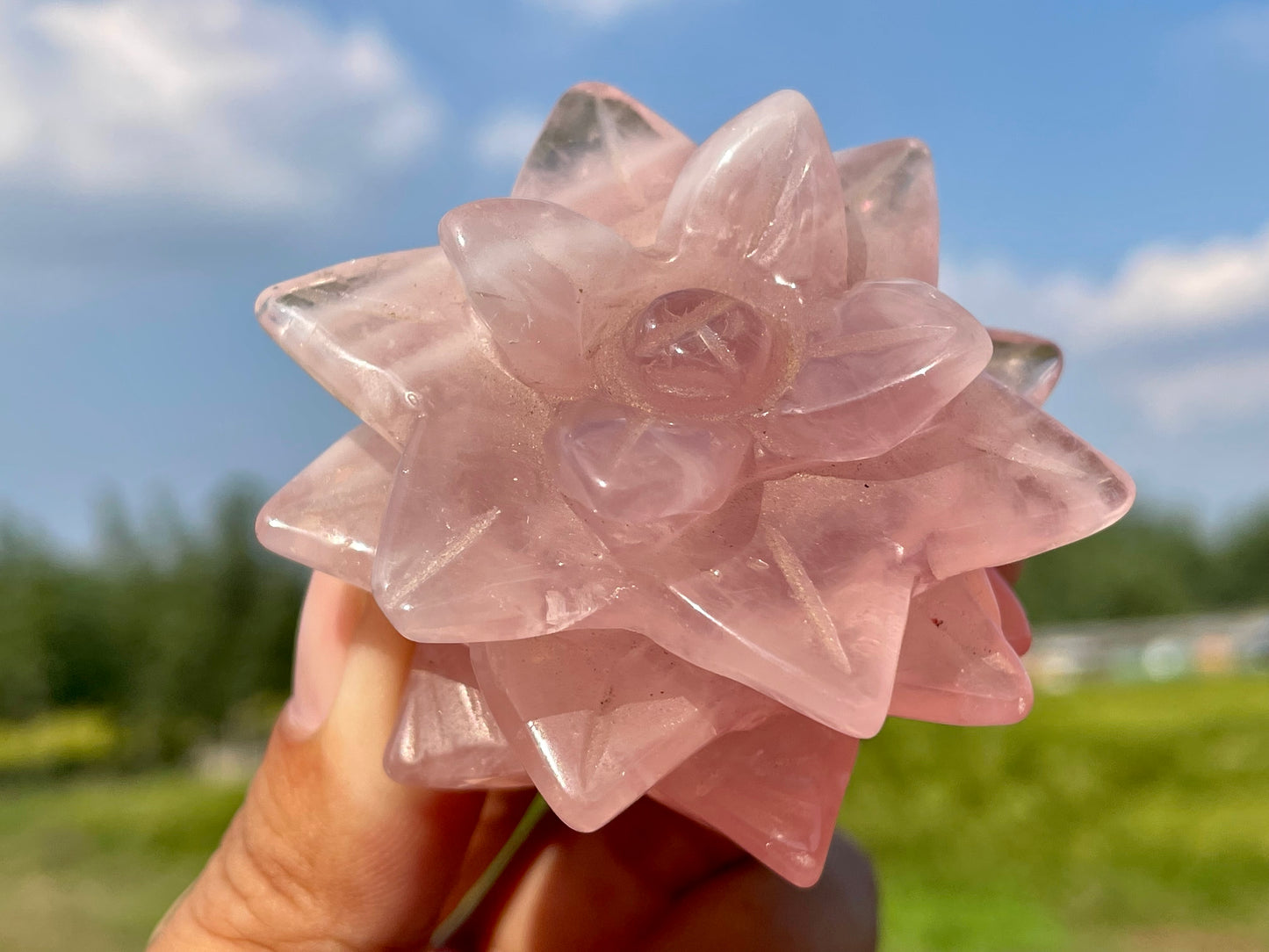 2" Natural Rose Quartz Succulents,Quartz crystal flower,Home Decoration,Crystal Carving,Mineral Specimens,Crystal Healing,Crystal Energy,Home Decoration