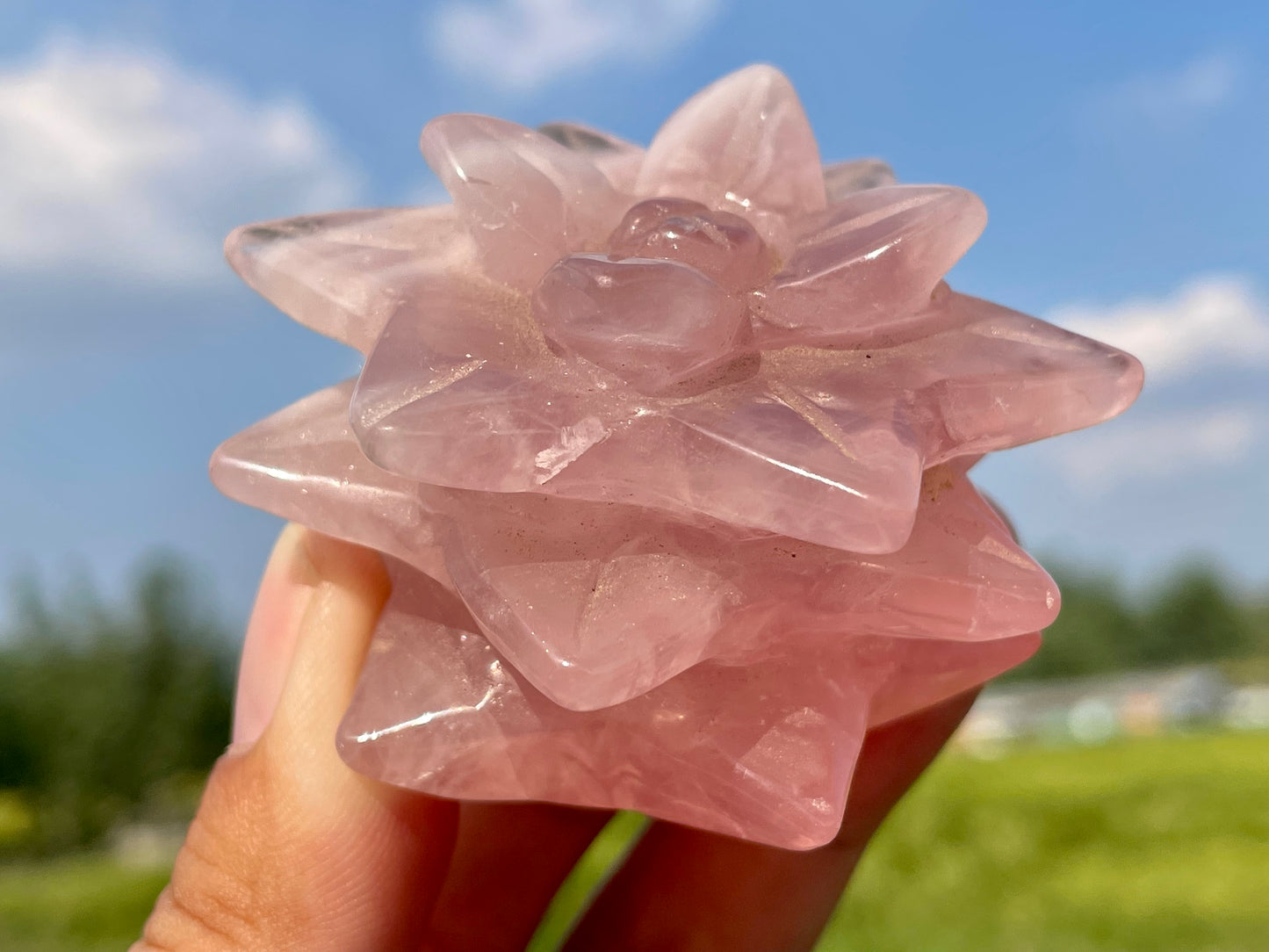 2" Natural Rose Quartz Succulents,Quartz crystal flower,Home Decoration,Crystal Carving,Mineral Specimens,Crystal Healing,Crystal Energy,Home Decoration