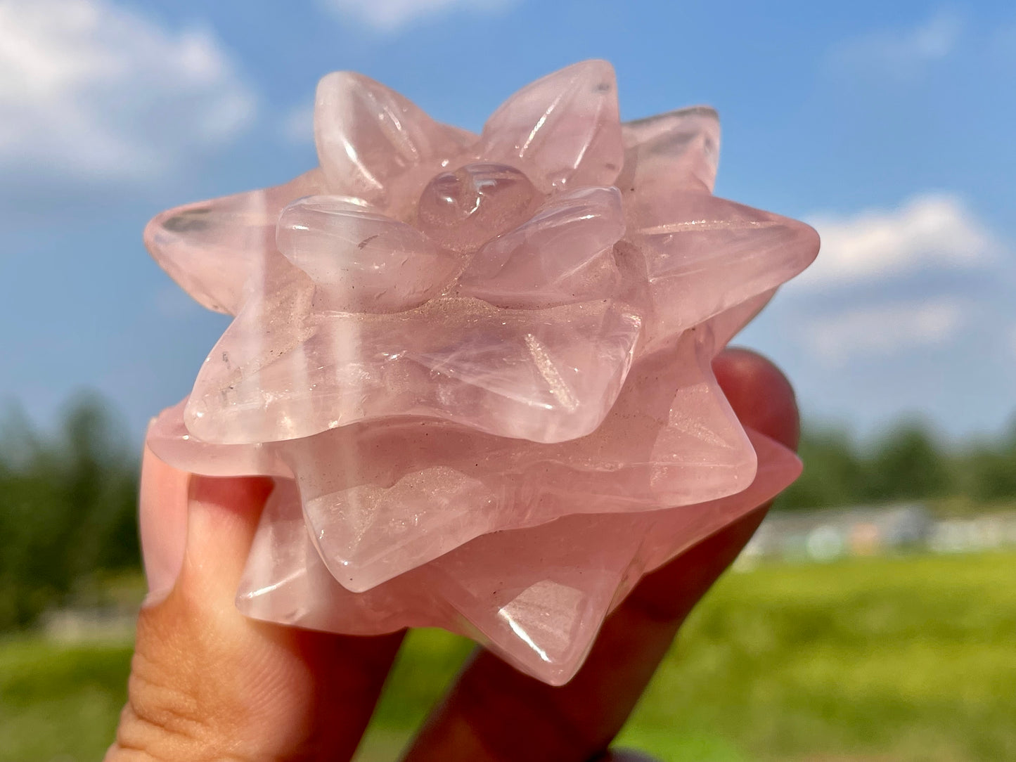 2" Natural Rose Quartz Succulents,Quartz crystal flower,Home Decoration,Crystal Carving,Mineral Specimens,Crystal Healing,Crystal Energy,Home Decoration