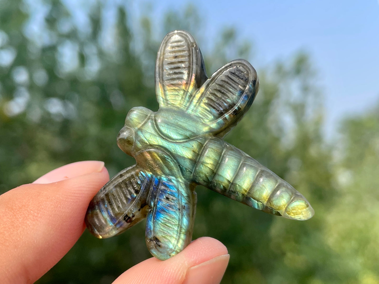 1.5''+ Natural Labradorite quartz,quartz crystal,hand carved,Crystal Dragonfly,Dragonfly skull Specimen,Home Decoration Crystal Gifts