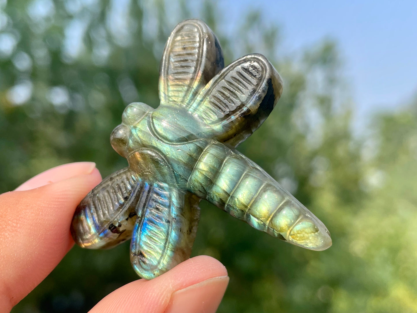 1.5''+ Natural Labradorite quartz,quartz crystal,hand carved,Crystal Dragonfly,Dragonfly skull Specimen,Home Decoration Crystal Gifts