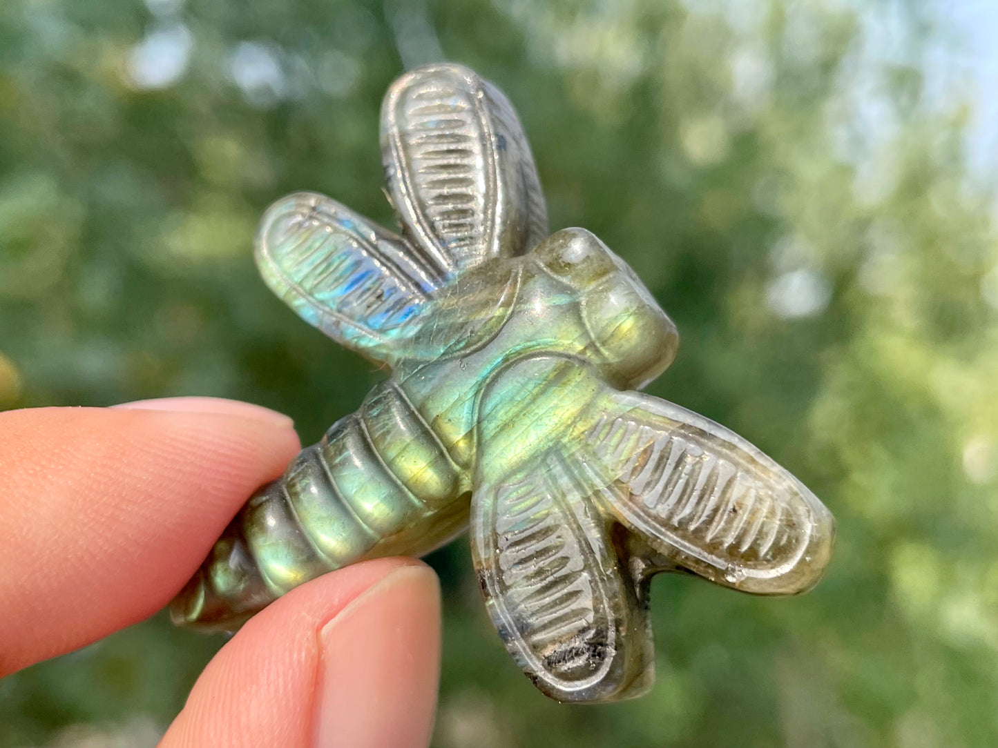 1.5''+ Natural Labradorite quartz,quartz crystal,hand carved,Crystal Dragonfly,Dragonfly skull Specimen,Home Decoration Crystal Gifts