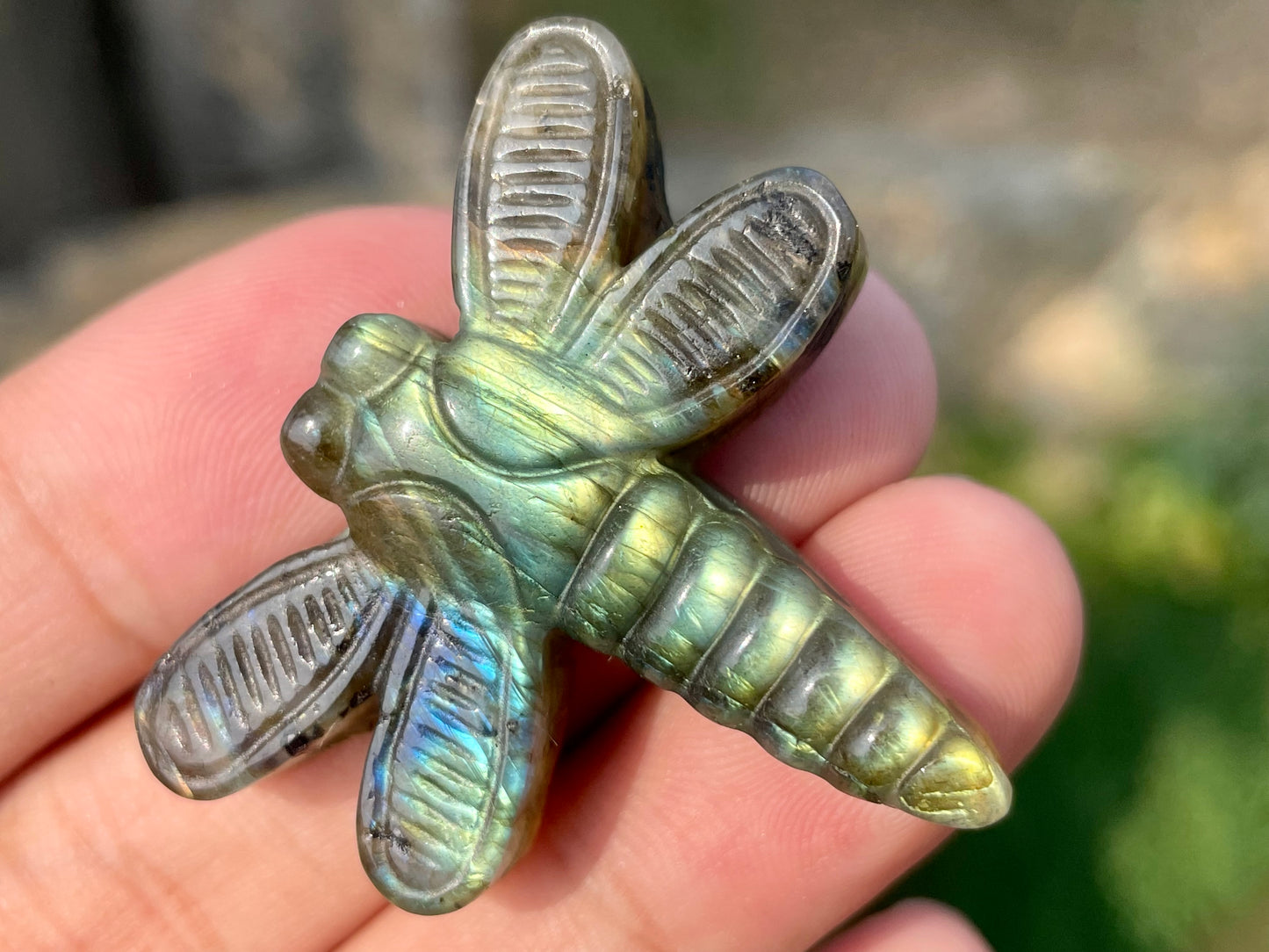 1.5''+ Natural Labradorite quartz,quartz crystal,hand carved,Crystal Dragonfly,Dragonfly skull Specimen,Home Decoration Crystal Gifts