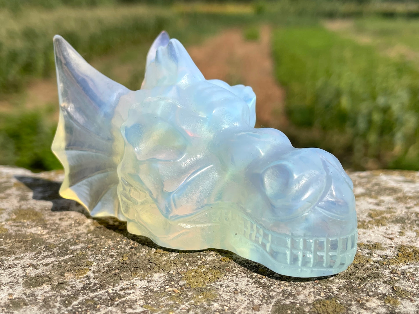 3.2''+ Opalite quartz,quartz crystal,Crystal Dragon,Dragon Skull,Hand carving Crystal Gifts