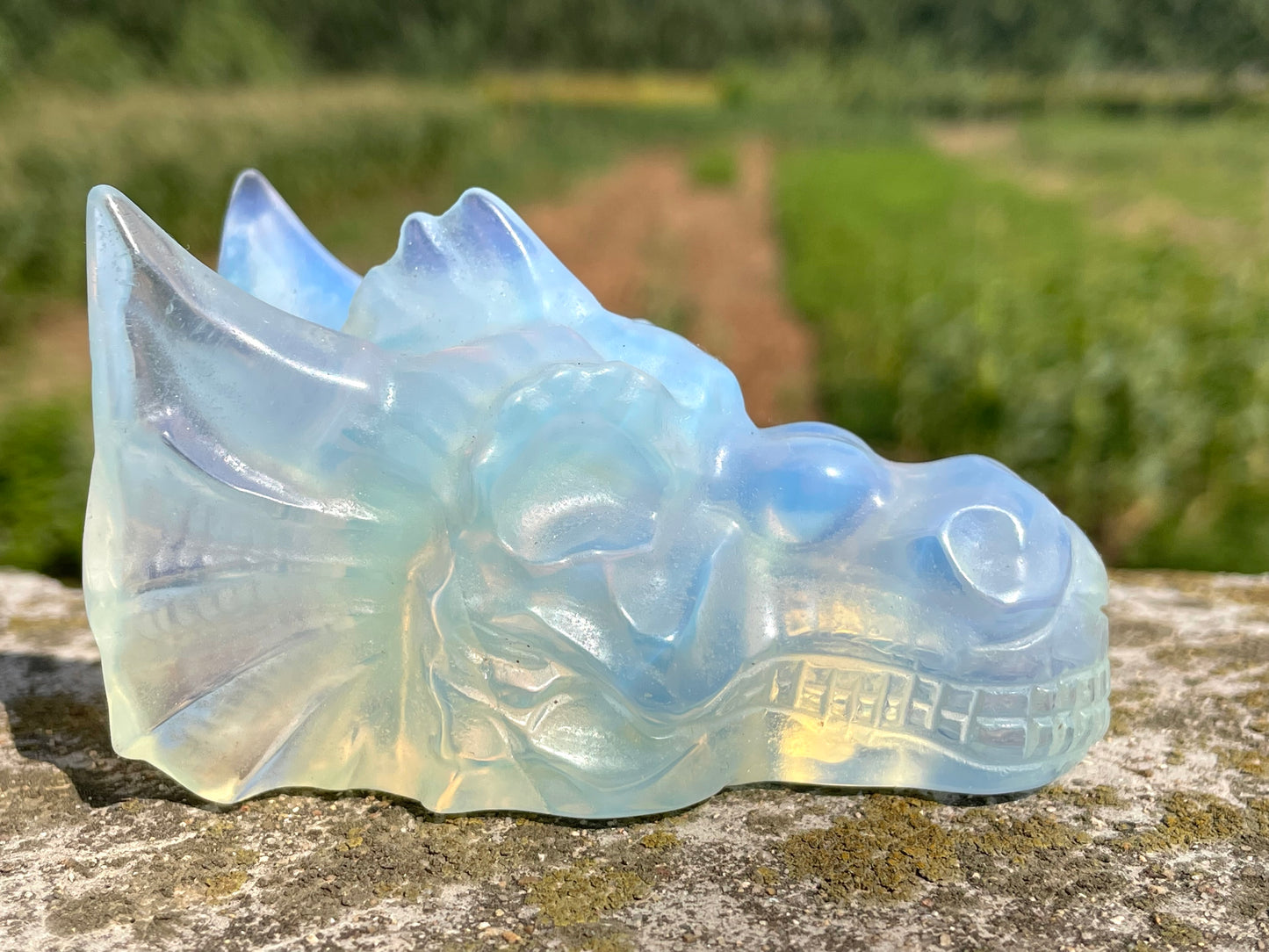 3.2''+ Opalite quartz,quartz crystal,Crystal Dragon,Dragon Skull,Hand carving Crystal Gifts