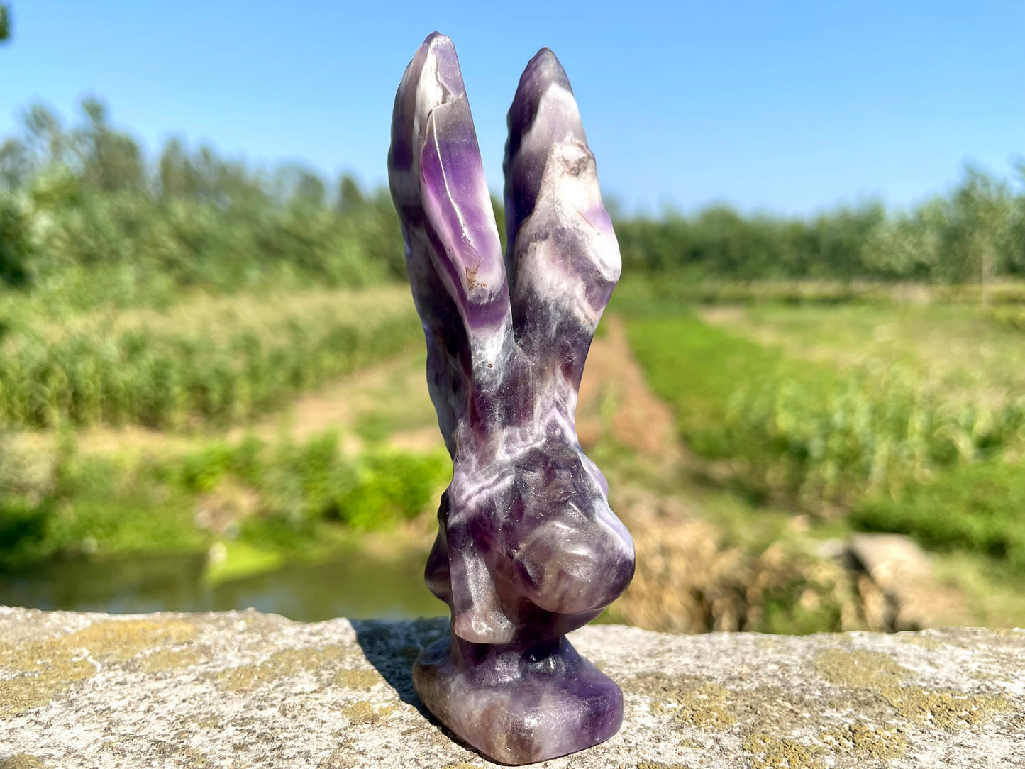 3.9''+ Natural Dreamy amethyst angel,Hand carved Elf, Crystal elf skull,Quartz crystal skull,Home Decoration Gifts