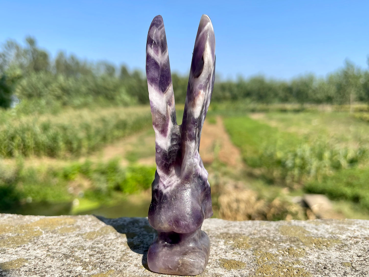 3.9''+ Natural Dreamy amethyst angel,Hand carved Elf, Crystal elf skull,Quartz crystal skull,Home Decoration Gifts